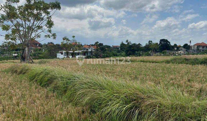 For Sale Cheap Strategic Land In Babakan Canggu AT 2