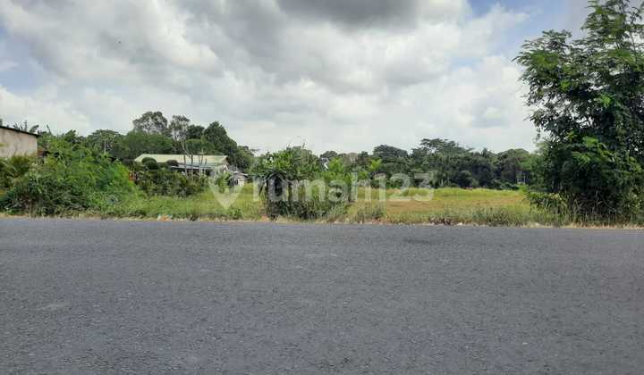 Dijual Tanah Kosong Los Sungai Kawasan Villa Lokasi Di Jalan Raya Munggu AD