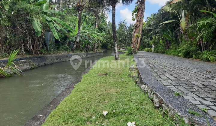 Dijual Tanah Kosong Los Sungai Kawasan Villa Lokasi Di Jalan Raya Munggu AD