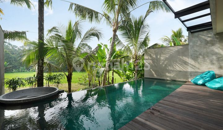Dijual Villa Freehold 1 Kamar View Sawah Di Ubud Cl Dijual Villa Freehold 1 Kamar View Sawah Di Ubud Cl