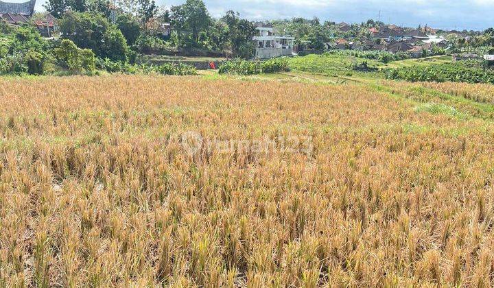 For Sale Cheap Strategic Land In Babakan Canggu AT 1