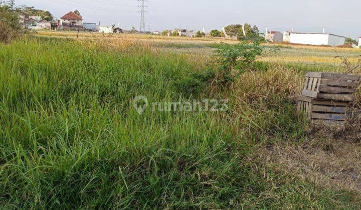 tanah murah kepuharjo kost area belakang kampus UMM Malang  2