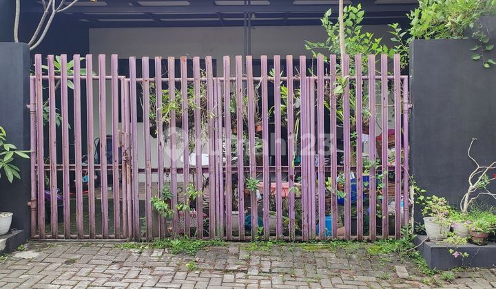 Tanah Premium Sigura Gura Selangkah Ke Kampus Brawijaya Tanah Premium Sigura Gura Selangkah Ke Kampus Brawijaya