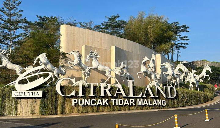 Rumah Baru Citraland Tidar Mewah Luas Kawasan Paling Favourite  1