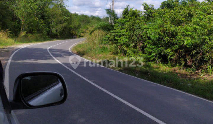 Investasi Emas 6,4 Ha Pinggir Jalan Raya Provinsi Ikn Tenggarong Investasi Emas 6,4 Ha Pinggir Jalan Raya Provinsi Ikn Tenggarong