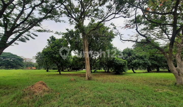 KAVLING RESIDENTIAL SIAP BANGUN DI LOKASI YANG NYAMAN DAN STRATEGIS DEKAT LAPANGAN GOLF JABABEKA CIKARANG