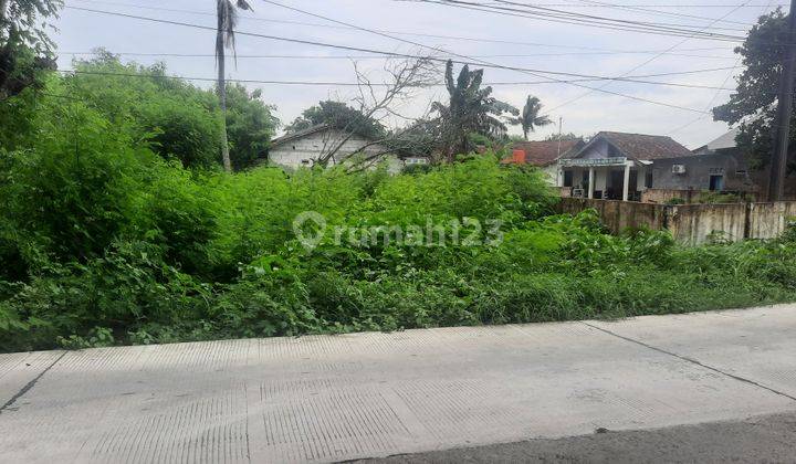 TANAH DENGAN LOKASI STRATEGIS PINGGIR JALAN RAYA CABANG BUNGIN DESA SETIA LAKSANA 2