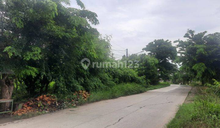 TANAH DENGAN LOKASI STRATEGIS PINGGIR JALAN RAYA CABANG BUNGIN DESA SETIA LAKSANA 1