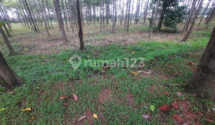 TANAH/KAVLING  PINGGIR JALAN DALAM KAWASAN PERUMAHAN DI DAERAH CIBITUNG CIKARANG BARAT
