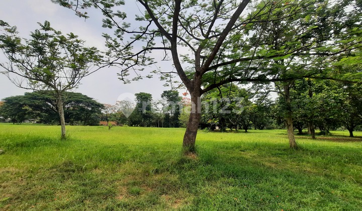 KAVLING RESIDENTIAL SIAP BANGUN DI LOKASI YANG NYAMAN DAN STRATEGIS DEKAT LAPANGAN GOLF JABABEKA CIKARANG