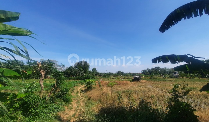 TANAH KAVLING DI WANASARI CIBITUNG COCOK UNTUK PERUMAHAN DAN GEDUNG BALAI PERTEMUAN DENGAN LOKASI STRATEGIS PINGGIR TOL CIBITUNG CILINCING TANAH KAVLING DI WANASARI CIBITUNG COCOK UNTUK PERUMAHAN DAN GEDUNG BALAI PERTEMUAN DENGAN LOKASI STRATEGIS PINGGIR TOL CIBITUNG CILINCING