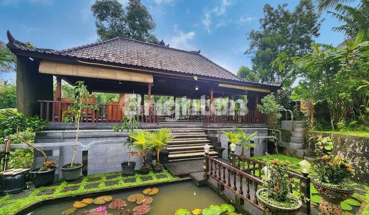 SPACIOUS RIVERFRONT VILLA, RICE FIELD AND MOUNTAIN VIEWS IN TABANAN AREA