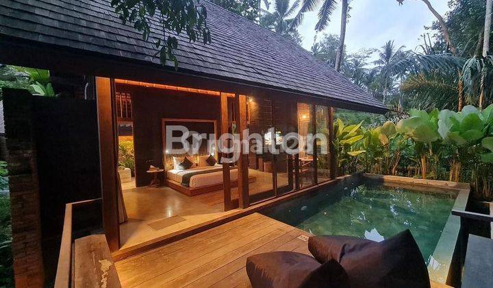 VILLA RESORT WITH JUNGLE VIEW AT UBUD AREA