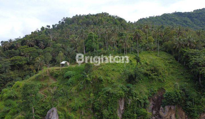 TANAH LUAS SHM COCOK UNTUK DIBANGUN RESORT HOTEL 2