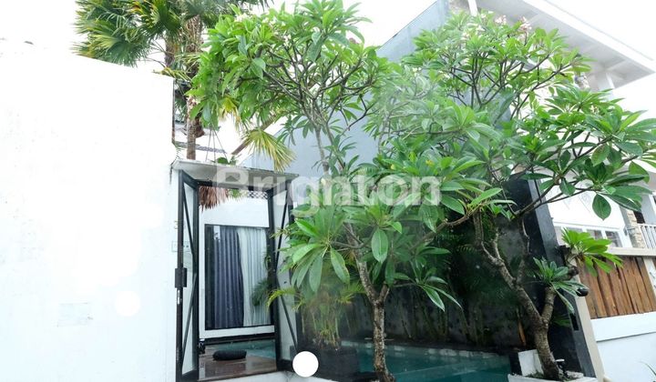 GUEST HOUSE DI AREA CANGGU COCOK UNTUK INVESTASI GUEST HOUSE DI AREA CANGGU COCOK UNTUK INVESTASI