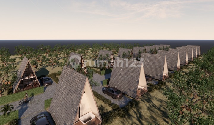 Tanah Kebun Durian Musang King Pilihan Investasi Di Bali