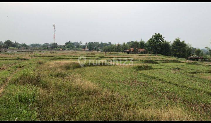 Tanah Strategis Siap Bangun Di Cariu Bogor Jawa Barat  1