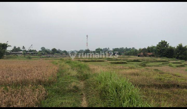 Tanah Strategis Siap Bangun Di Cariu Bogor Jawa Barat  4
