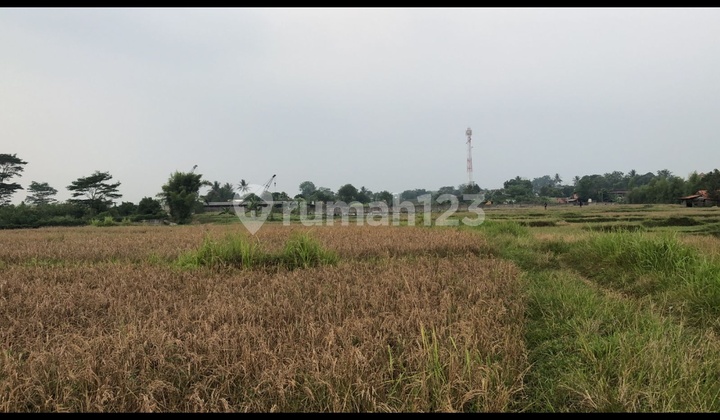 Tanah Strategis Siap Bangun Di Cariu Bogor Jawa Barat  5