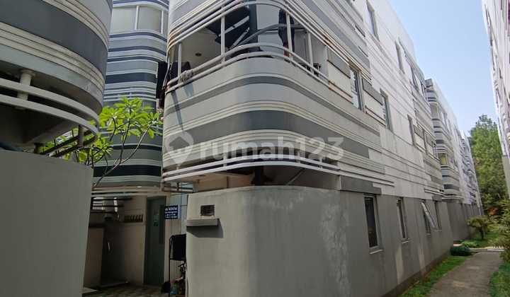 Dijual Cepat Rumah Furnished Bagus Kost Anarta House Vanya Park Bsd City