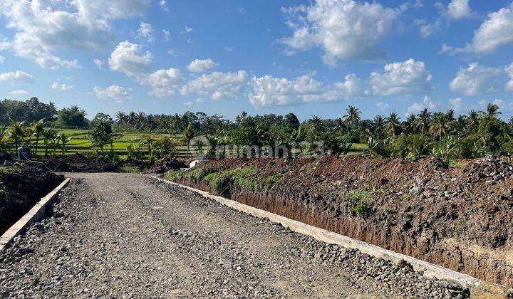 For Sale Land Plot SHM Area 150m in Tabanan Bali 2