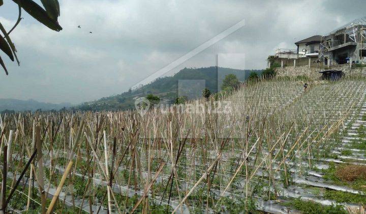 Tanah Kavling Di Cikole Lembang View Bandung, Cakep Banget Udara Sejuk