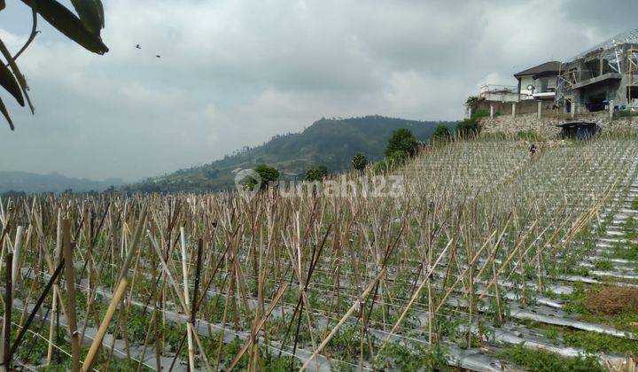 Kavling Tanah Cikole di Lembang, Bandung Barat 1
