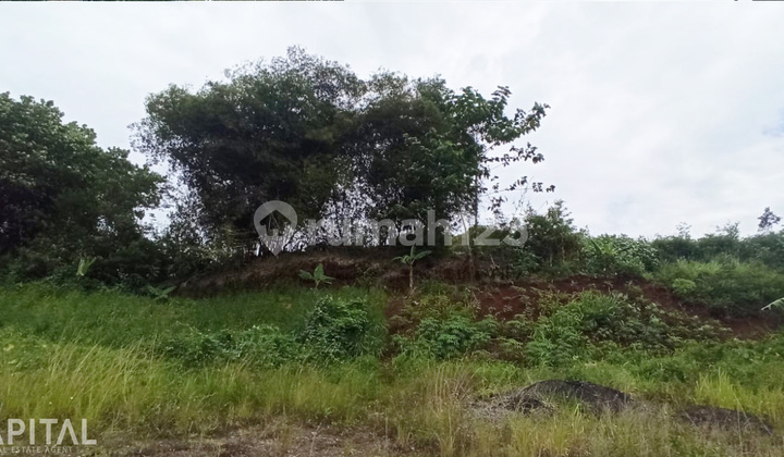 For Sale Batujajar Luas 1.7 Ha SHM 3 Sertifikat  9