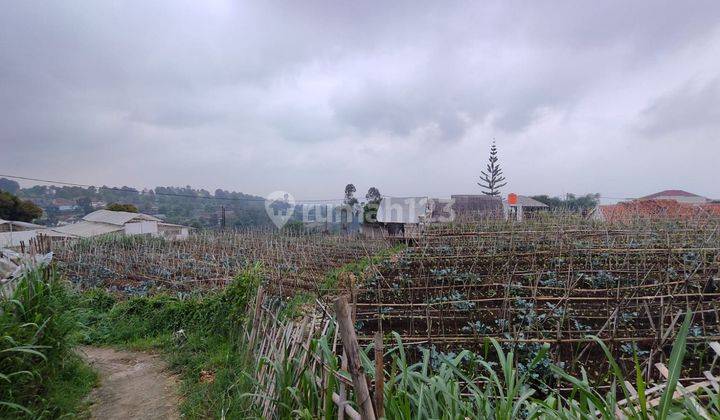 Jual Cepat Tanah SHM Parongpong Bandung  9