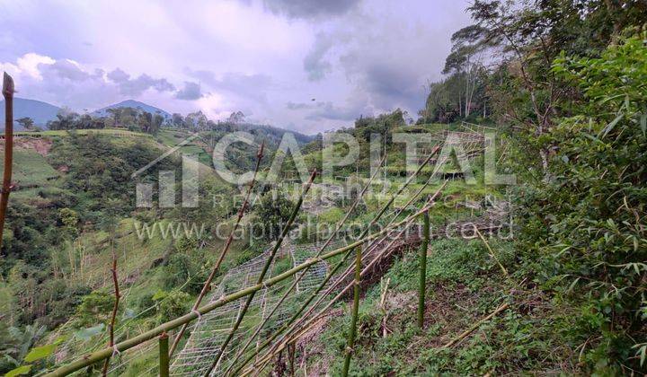 Jual Cepat Tanah Dengan Bangunan Ciwidey , Bandung 9