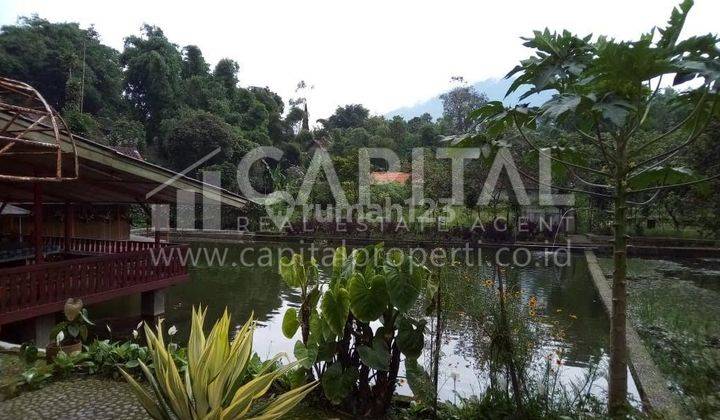 For Sale Rumah Villa Tjantique Kabupaten Garut Jl. Raya Cigedug 2