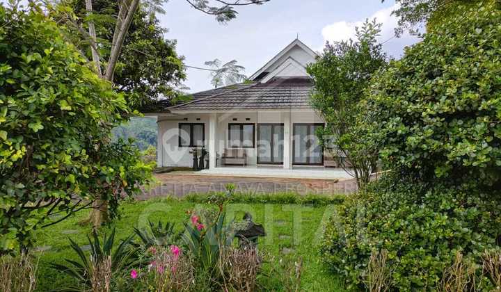 Lahan Luas dan Suasana Sejuk Nyaman di Ciwidey Bandung Lahan Luas dan Suasana Sejuk Nyaman di Ciwidey Bandung