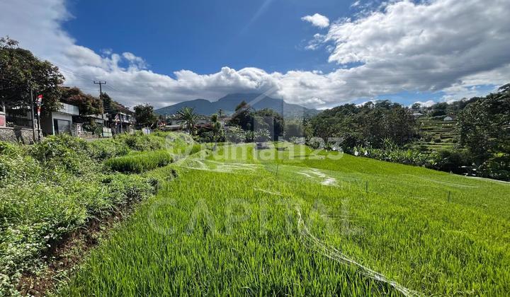 Turun Harga Tanah Cocok untuk Bangun Perumahan di Ujungberung Kota Bandung