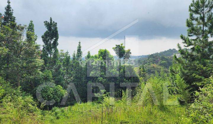 Kavling Tanah Dengan View Bandung di Dago Atas Mekarwangi 1