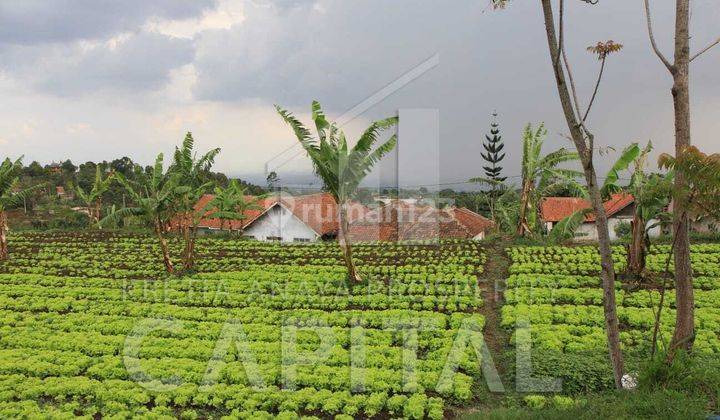 Turun Harga Tanah Dengan View Kota Bandung di Parongpong 1