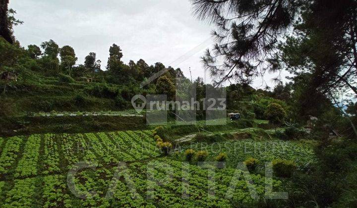 Tanah Kavling Cocok Untuk Rumah Tinggal dan Villa di Cigugur Girang Parongpong Bandung 1