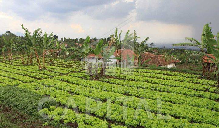 Turun Harga Tanah Dengan View Kota Bandung di Parongpong 2