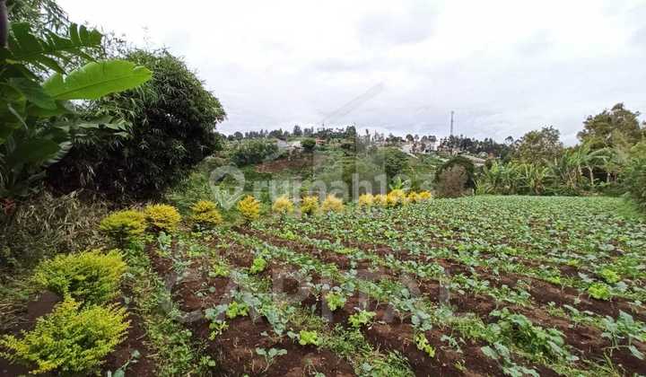 Large Land Suitable for Residential Houses or Villas, Strategic Location in Parongpong, West Bandung