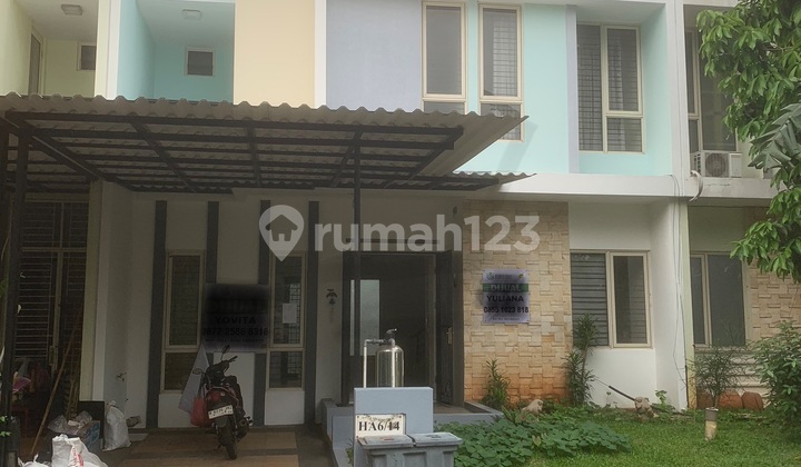 Cluster.new.jasmine@