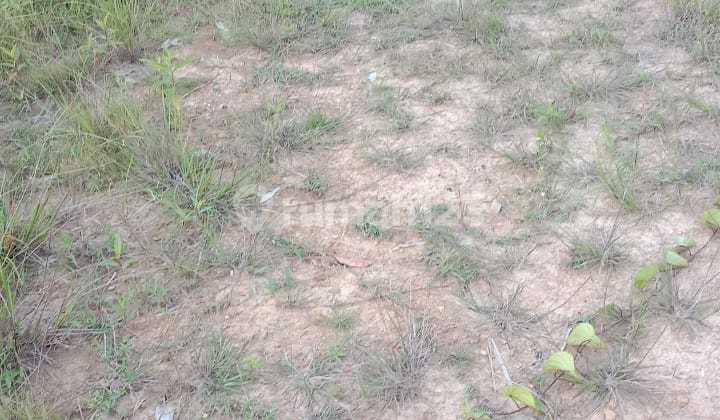 Dijual Tanah Kavling, SHM, Siap Dibangun Usaha, Kantor, Gudang, Sorong, NEGO SAMPAI DEAL 2