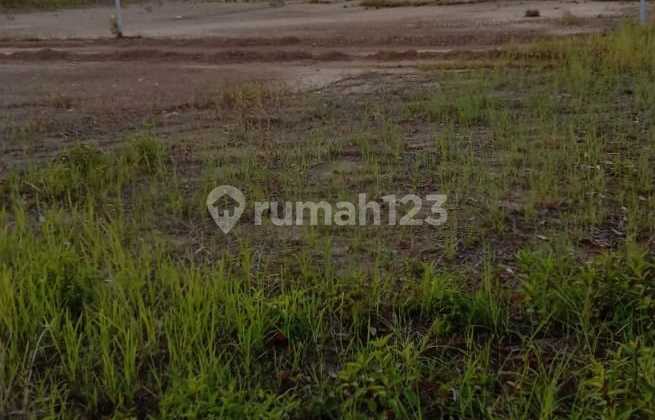 Dijual Tanah Kavling Sorong, Papua Barat Siap Dibangun, NEGO SAMPAI DEAL 2