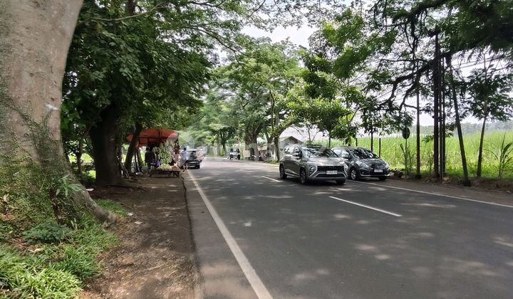 Mayjen Sungkono Kedung Kandang Malang Main Road Land