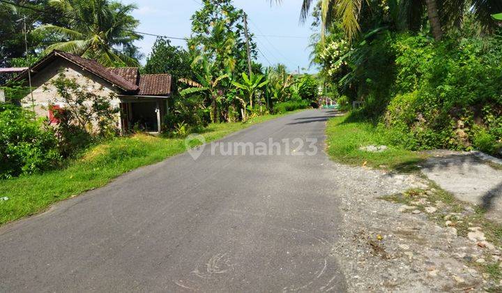 Promo Rumah Termurah Area Kulon Progo Arah Bandara Terminal 9