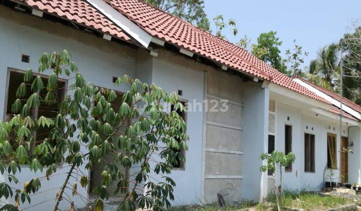 Kavling Rumah Minimalis Dekat Polsek Panjatan Wates Dan Samsat  3