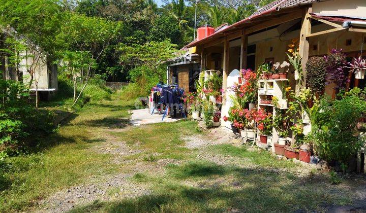 Kavling Rumah Minimalis Dekat Polsek Panjatan Wates Dan Samsat  6