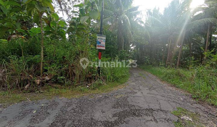 Kavling Rumah Minimalis Dekat Polsek Panjatan Wates Dan Samsat  11