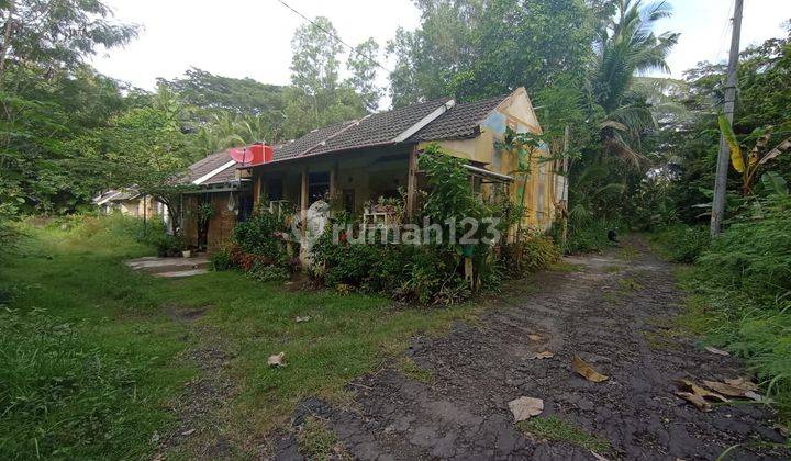 Kavling Rumah Minimalis Dekat Polsek Panjatan Wates Dan Samsat  12