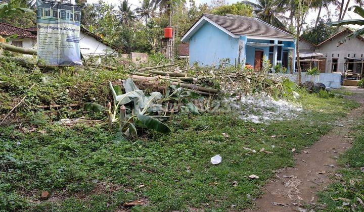 Rumah Baru Murah Sleman 2 Kamar Hadap Timur Free Balik Nama  7