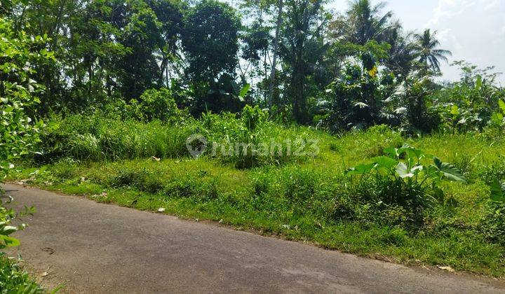 Rumah Pasuruhan Mertoyudan Pesan Bangun Pinggir Jalan Aspal Lebar 2