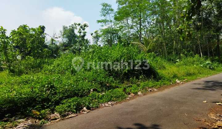 Rumah Pasuruhan Mertoyudan Pesan Bangun Pinggir Jalan Aspal Lebar 5